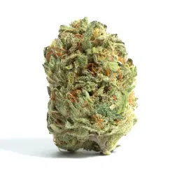 KIMBO-KUSH-030.webp