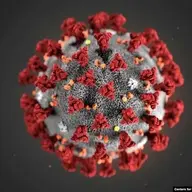 Virus Corona