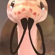 Snakeasian